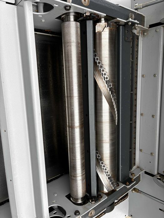 Reismusas Felder D963