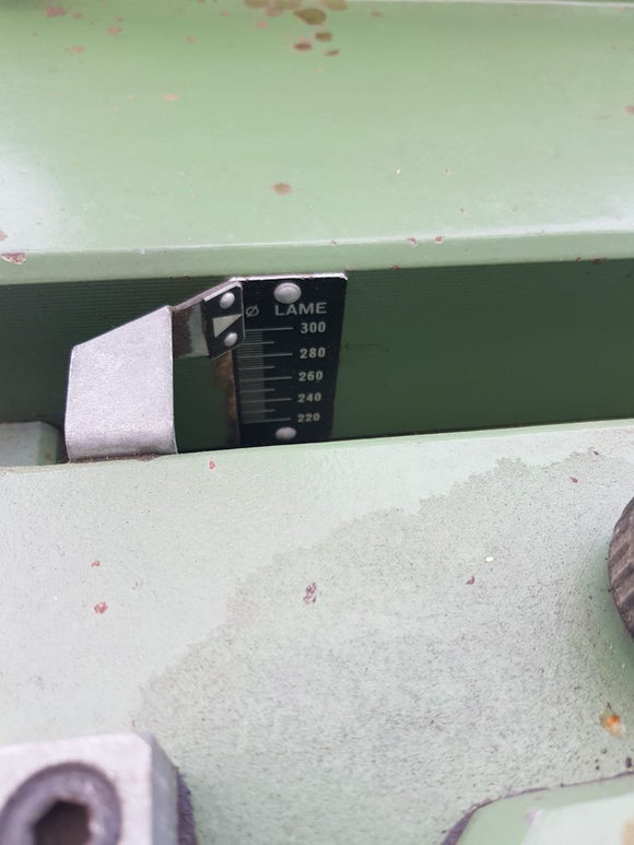 Daugiapjūklės staklės Gabbiani 300 - Industry Solutions